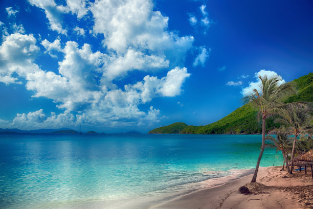 tropical island beautiful nature where transformation, imagination, and unexpected bliss are found