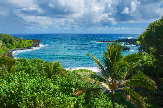 tropical island beautiful nature where transformation, imagination, and unexpected bliss are found